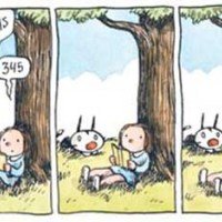 Cultivando el arte de la paciencia