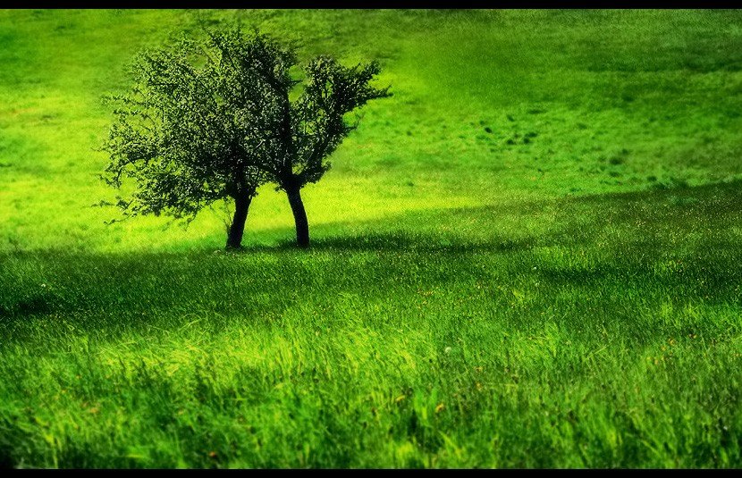Twins_by_Ciril