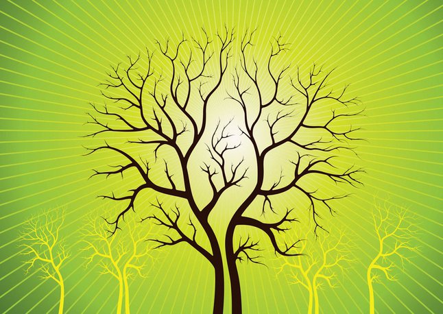 arbol