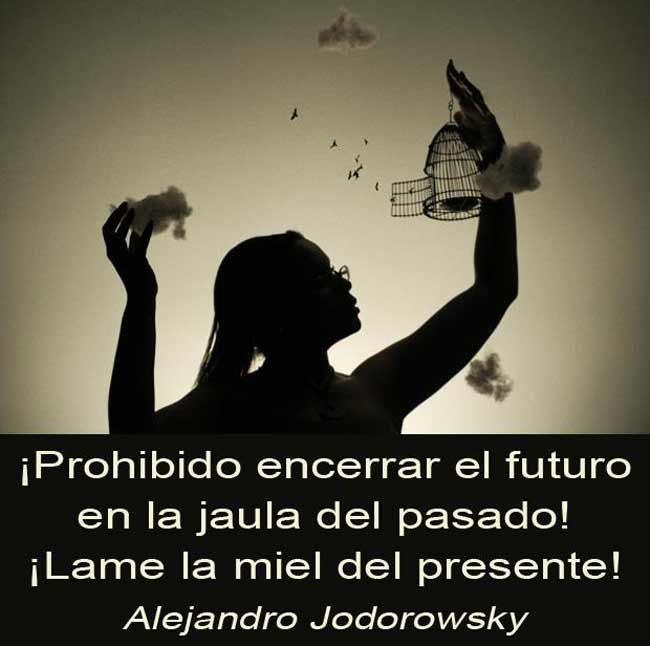 jaula1