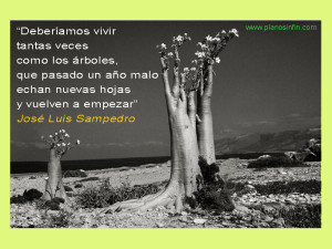Jose Luis Sampedro, frases de sabiduría